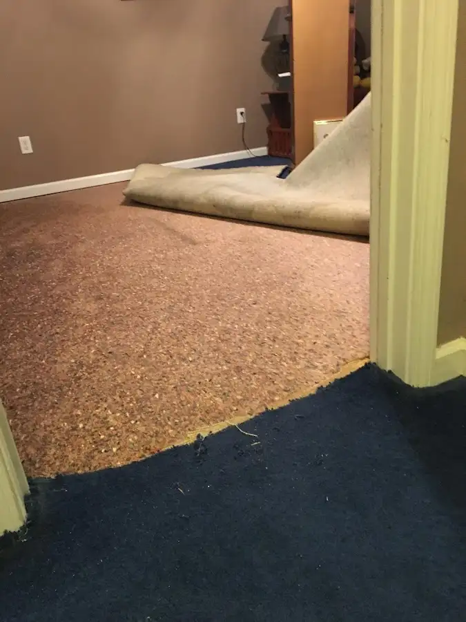 Carpet pad removal revealing water damage during Drying & Dehumidification in Harborcreek