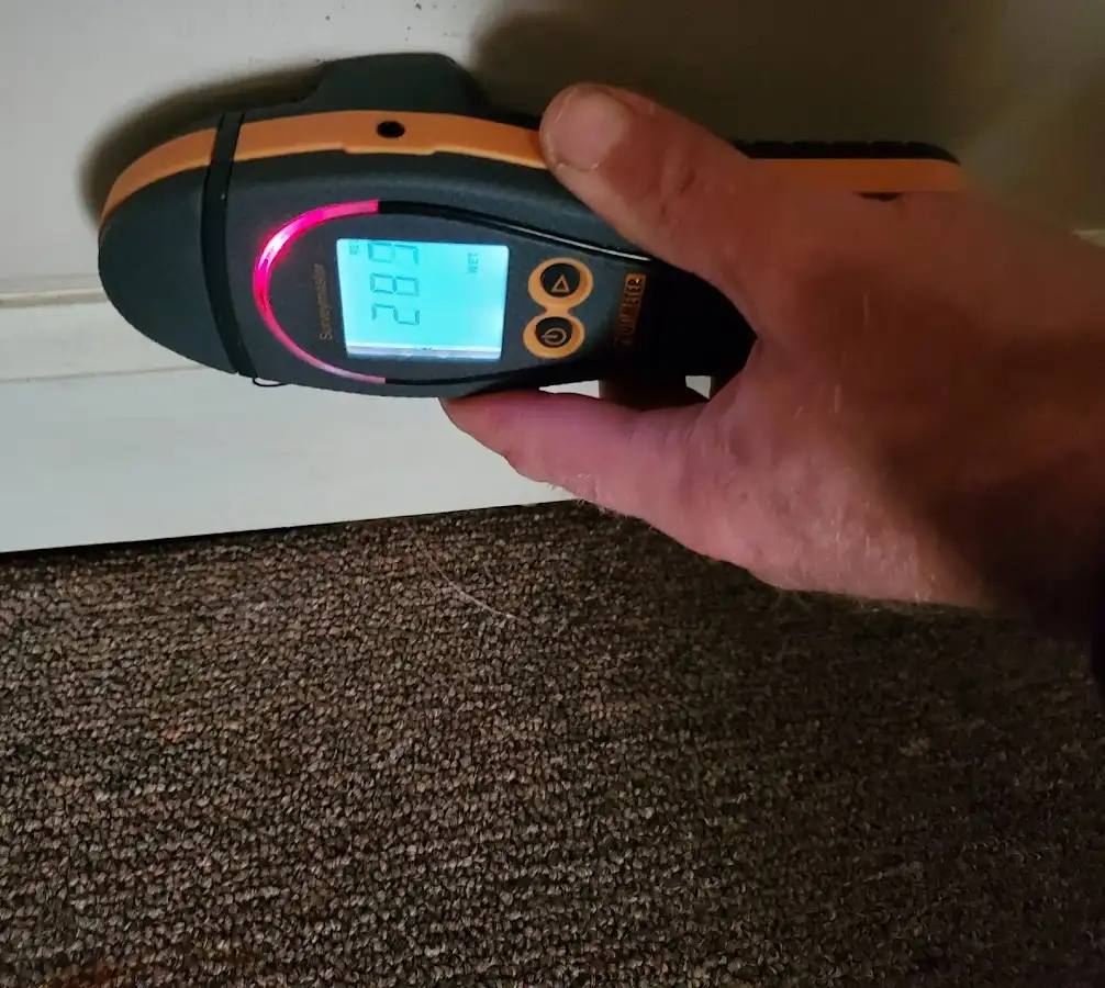 Moisture detection at baseboard during Sewage Cleanup & Sanitation in Harborcreek